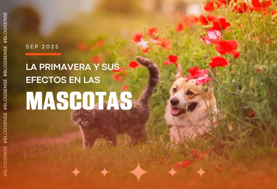 La primavera y sus efectos en las mascotas